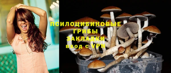 молекула духа Чегем